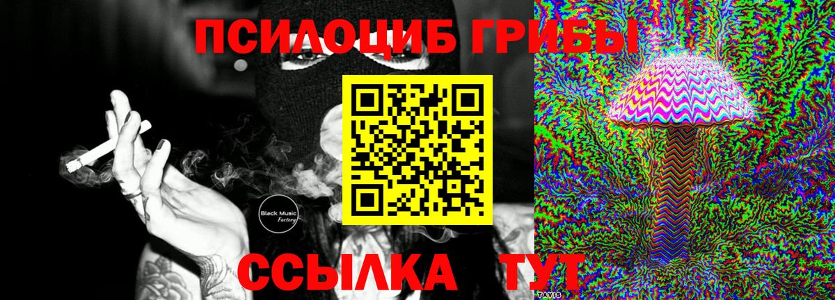 Галлюциногенные грибы Psilocybe  Вход с VPN  Псилоцибиновые грибы Cubensis  Гусев 