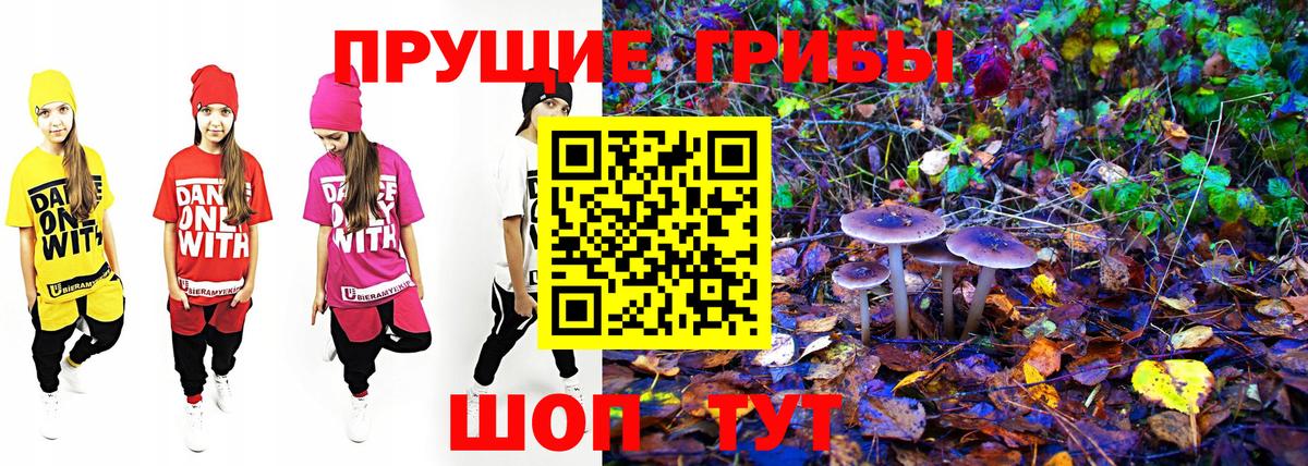 Псилоцибиновые грибы GOLDEN TEACHER Гусев